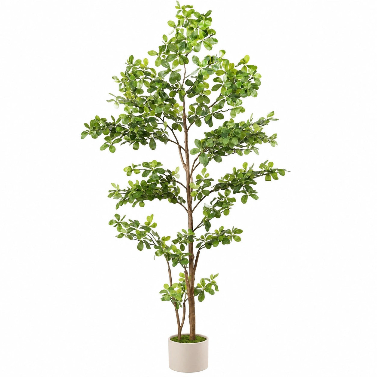 Albero Artificiale Decorativo 180 cm con Vaso - Verde