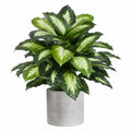 Pianta Artificiale con Foglie verdi e vaso di Cemento, 60 cm